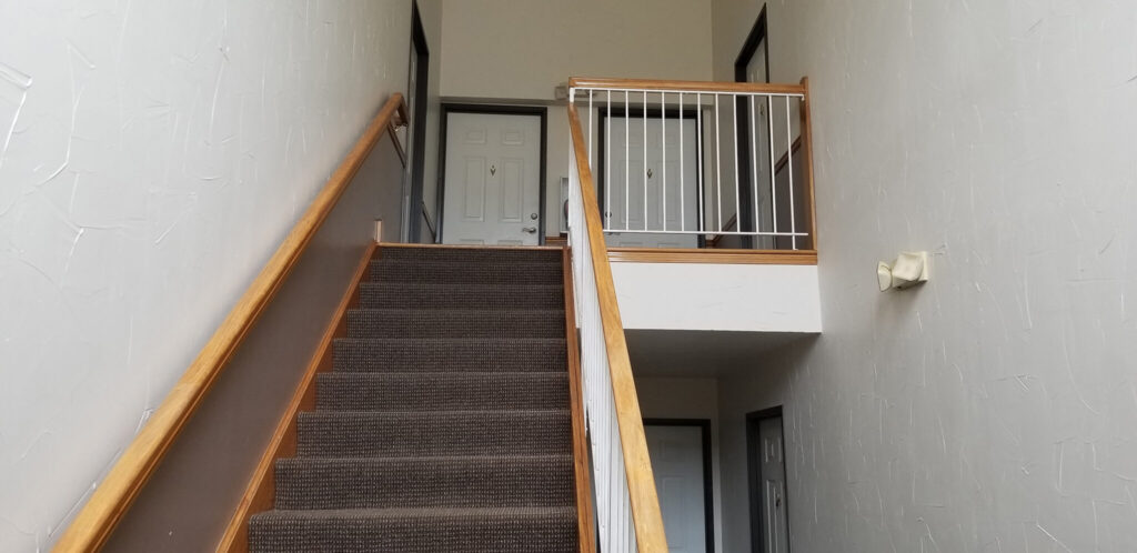 ECO PRO Cleaning Solutions